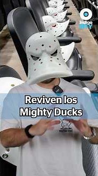 The Mighty Ducks exist and they broke the internet with this | Indigo Report