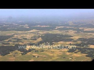 Aerial view of green fields - Assam