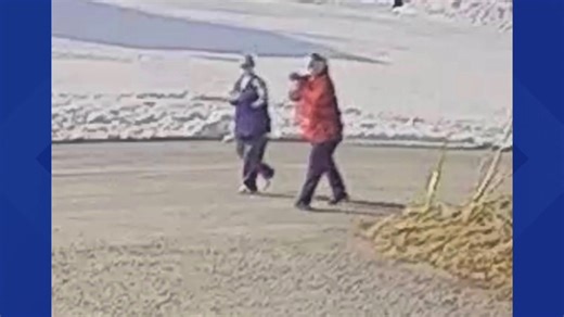 State police are looking for information after a dog was stolen in Union County