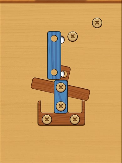 Can You Untangle the Woodle Screw Puzzle?