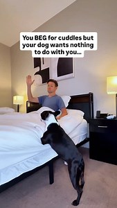 104K views · 12K reactions | CUDDLES DENIED ❌ You want cuddles… your...