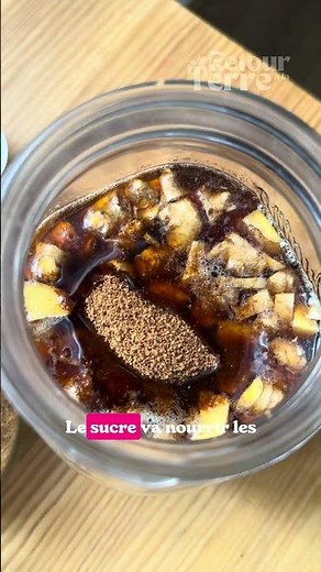 With ginger, water, and a little sugar, you can make ginger starter or ginger bug