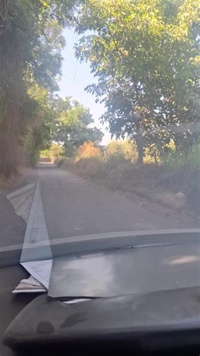 El terreno es lo mas lindo#trabajoduro #scaniatruck #camioneroschileno🇨🇱🇨🇱🇨🇱🇨🇱 #amorporloscamiones🚚🚛🥰