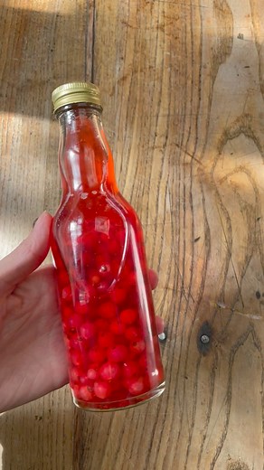 34K views · 331 reactions | Une recette de vinaigre aux groseilles...