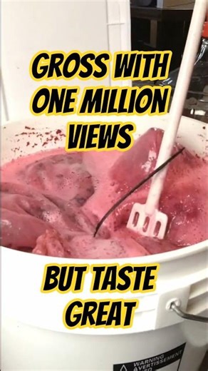 Wine Fermentation is Happening #wine #fermentation #winelovers #howto #1millionviews #recipe