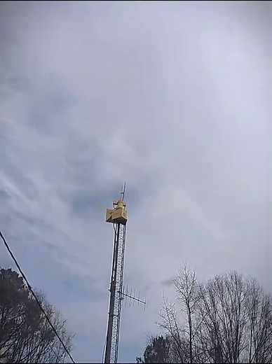Silverstreet SC Thunderbolt 1003 High-Low Signal Siren