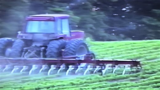 IH # 5488 # IH folding 12 row cultivator | folding machine