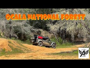 Off-Road in Ocala National Forest | Deep Water and Downed Trees | Bronco, Jeep, and AEV Bison
