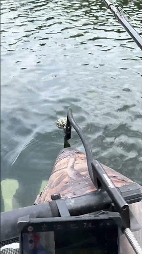 Fishing from a boat with a fish finder using the Deeper 🎣🚤 #fishing #predatorfishing #fishfinder