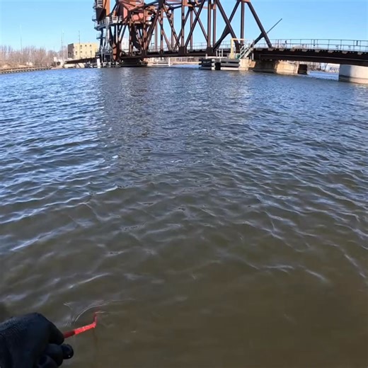 We unearth a variety of surprising items, including what looks like a gardening tool and an old revolver. The discoveries reveal a glimpse into the past. We found so much cool stuff in there. Have you ever found something cool? #antiques #treasure #discoveries #history #artifacts #magnetfishing | The Fisher