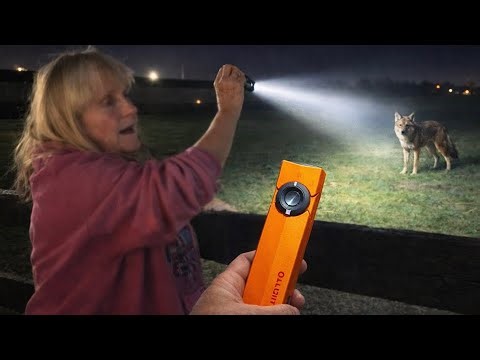 This little flashlight is much more practical than I imagined—Olight ArkPro #olight#flashlight
