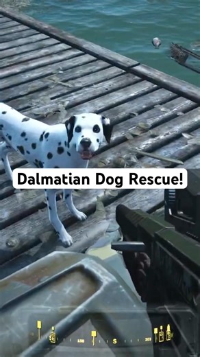 We found the Dalmatian as another dog companion. #fallout4 #falloutlore #dog