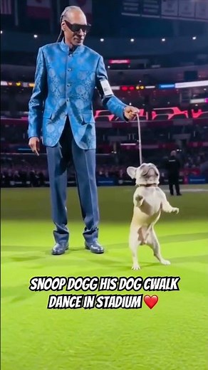 Snoop dogg his dog cwalk dance in stadium ❤️ #automobile #hiphop #music #audio #50cent #snoopdogg