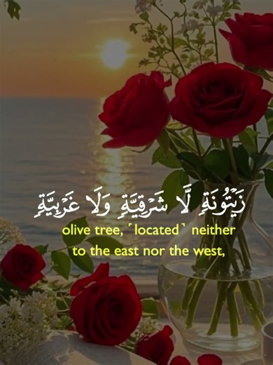 Surah An-Nur Ayat 35 | Beautiful Quran Recitation with Arabic Text | Sakoon e Qalb