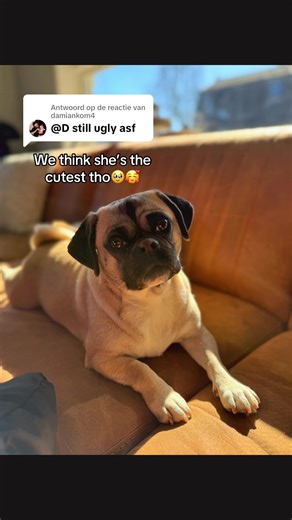 Retromops_Nola on TikTok