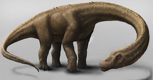 Dreadnoughtus: A New Giant Joins the 'Biggest Dinosaur' Parade
