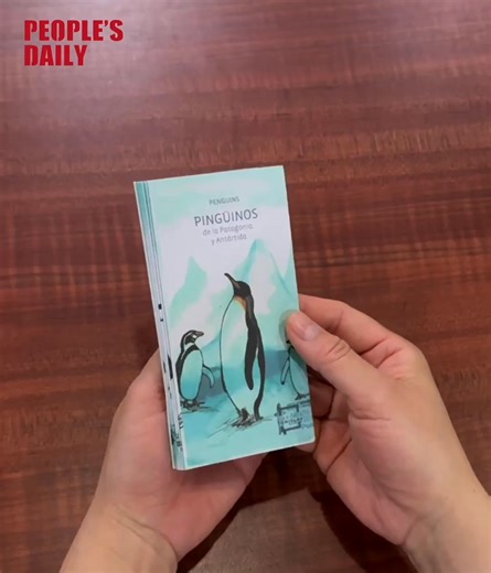 28K views · 101 reactions | Ever wondered what life is like for a penguin in the wildest, coldest place on Earth? Join us on a journey to meet four of the 18 species of #penguins. #animals | Xi's Moments | Facebook