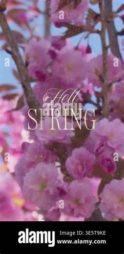 Vertical Hello Spring Video Montage with Nature Scenes and Sparkle Overlay Stock Video Footage - Alamy