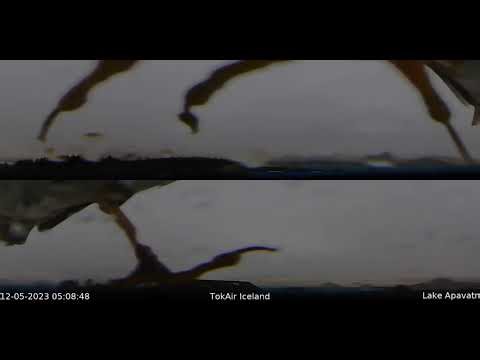 AuroraCam unexpected visitor 12th May 2023