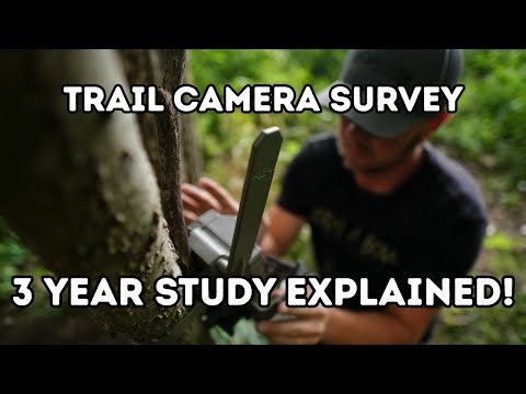 Trail Camera Study Explained: How Many Deer Are You NOT Seeing?