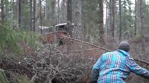 440K views · 4.9K reactions | Forest rescue of a 1959 Deluxe 23w Samba | Skinner Classics - VW Restorations & Repair | Facebook