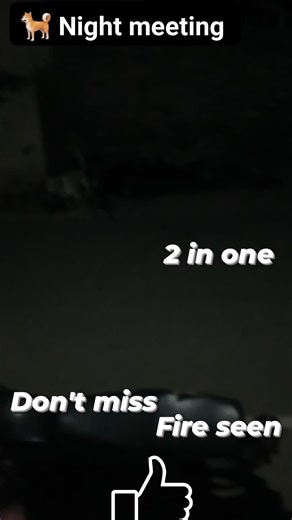 13K views · 41 reactions | Best meeting best seen | Gabba | Facebook