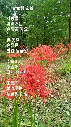 #능금빛 순정 #배호 #사랑을 따려거든 손짓을 해요...... #조용히 불러주는 능금빛 순정