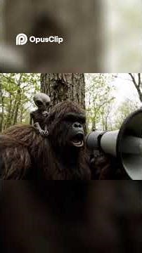 🎬 Gorilla AI Stories | Epic Short Films by AI 🦍