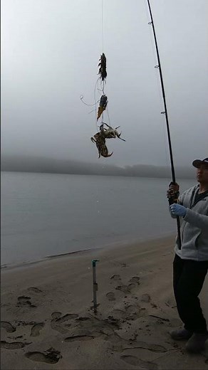Crabbing Lawsons Landing Snaring Two Dungeness Crabs in one pull #crab #crabbing #fishing #outdoors