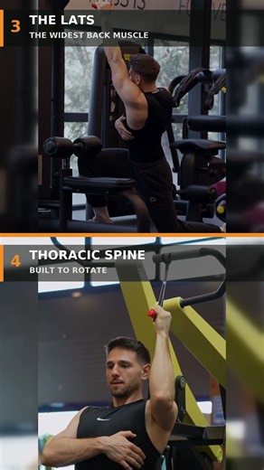 8 back & spine exercises your rehab probably skipped 🔙