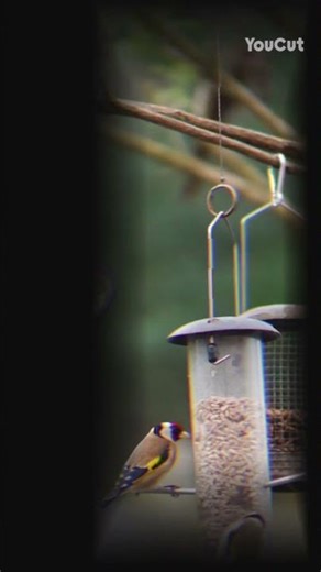 DJ Saintys Northern soul tune . dj Ian stacey .A SAINT ACE production #northernsoul #.latest tune