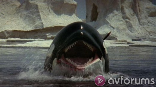 Orca 4K Blu-ray Review