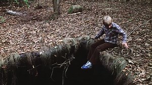 The Pit (1981)