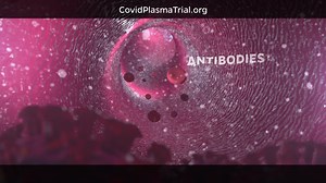 Anyone who’s been exposed or tested positive for COVID can play a role in fighting it. Join our COVID-19 plasma trials to help us learn if antibodies from recovered COVID patients can help fight this disease. | Johns Hopkins Bloomberg School of Public Health