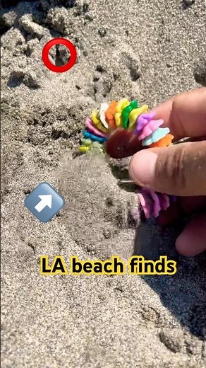 Found Incredible Beach Finds While Exploring the Coastline LA