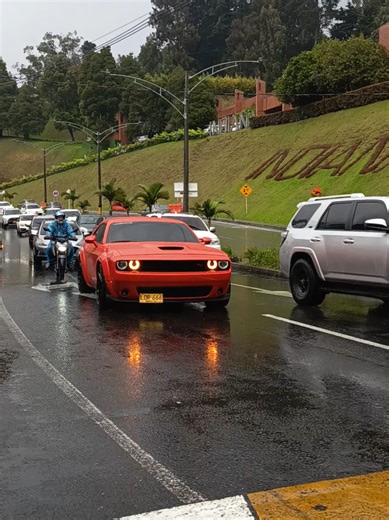 Dodge Challenger vs Camaro ZL1 vs Ford Mustang GT: Which to Choose?