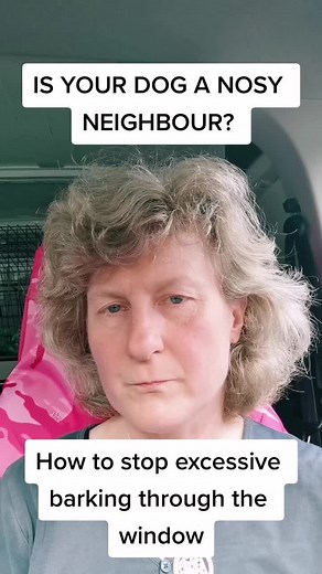 WAGGING TAILS Dog Training on TikTok