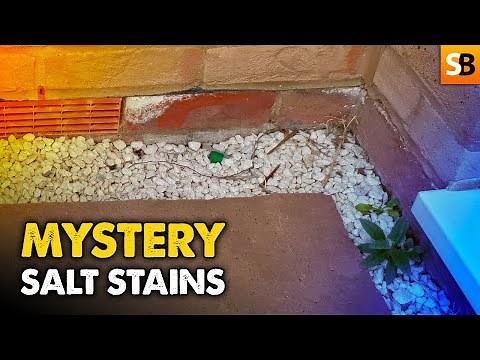 Salt Stains on Brickwork, Not What You Might Think