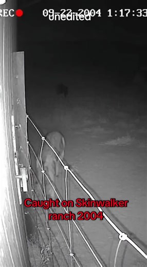 what is it? #skinwalker #ufo #alien #fyp