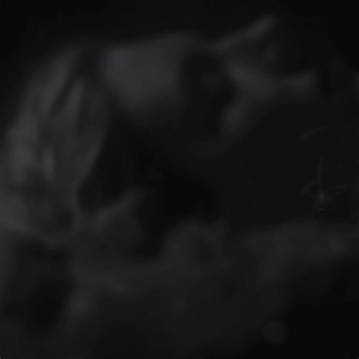 Epic Viking Stories: Ragnar and Lagertha Unleashed!