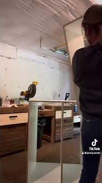 Check out Ana White’s free furniture design tool and build something awesome!