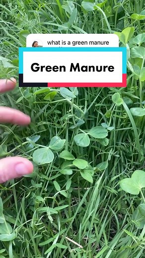 The Compost Coach on TikTok