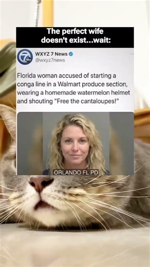 Florida woman accused of starting a conga line in a Walmart produce section, wearing a homemade