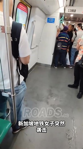 Woman spitting water at passengers on North-South Line MRT train on 23rd January. The passengers that she spat at moved away from her. Then a lady confronted her, attempting to snatch the bottle away and shouting: "What's wrong with you?" Spitting in public is illegal in Singapore. According to the Environmental Public Health (Public Cleansing) Regulations, it is illegal to spit, or expel mucus from the nose, onto the street, the floor, or any area in which the public has access. Offenders may b