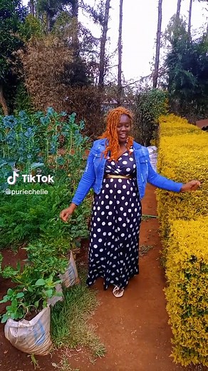 Gardening Tips from a Woman in a Beautiful Garden