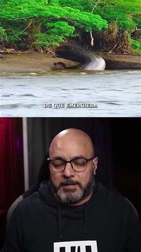 Never visit the Amazon River or you might encounter this #shorts #animals