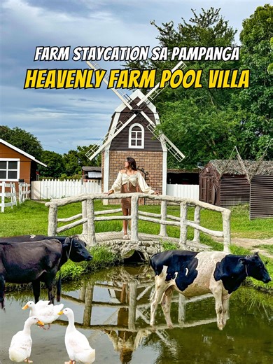 576K views · 1.2K reactions | Farm Staycation na para kang dinala sa New Zealand! For as low as P13,000 for 22 hours good for 25 pax na — may swimming pool, relaxing view, farm animals, bonfire at pet-friendly pa ✨ | Love, Nikki | Facebook