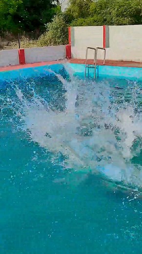 Wwe real fight😱 #wrestling #wwe #prowrestling #mma #bjj #jiujitsu #aew #ufc #boxing #grappling #wweraw #muaythai #smackdown #kickboxing #fitness #nxt #wrestler #wrestlemania #raw #wwf #judo #martialarts #brazilianjiujitsu #wweuniverse #njpw #wwenxt #wwesmackdown #fight #nogi #kids #wwe #wrestling #wweraw #smackdown #aew #prowrestling #nxt #raw #wrestlemania #romanreigns #wwesmackdown #wwenetwork #wweuniverse #k #wwenxt #wwf #sethrollins #johncena #sashabanks #beckylynch #wwedivas #njpw #wcw #al