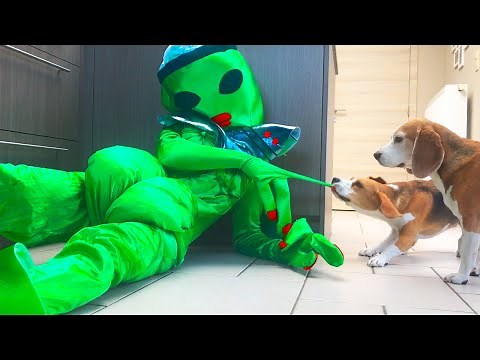 Funny Dogs vs ALIEN Prank Goes WRONG!