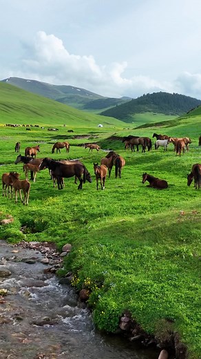 Explore the Beauty of Kazakhstan with Air Astana! 🇰🇿 #Kazakhstan #AirAstana